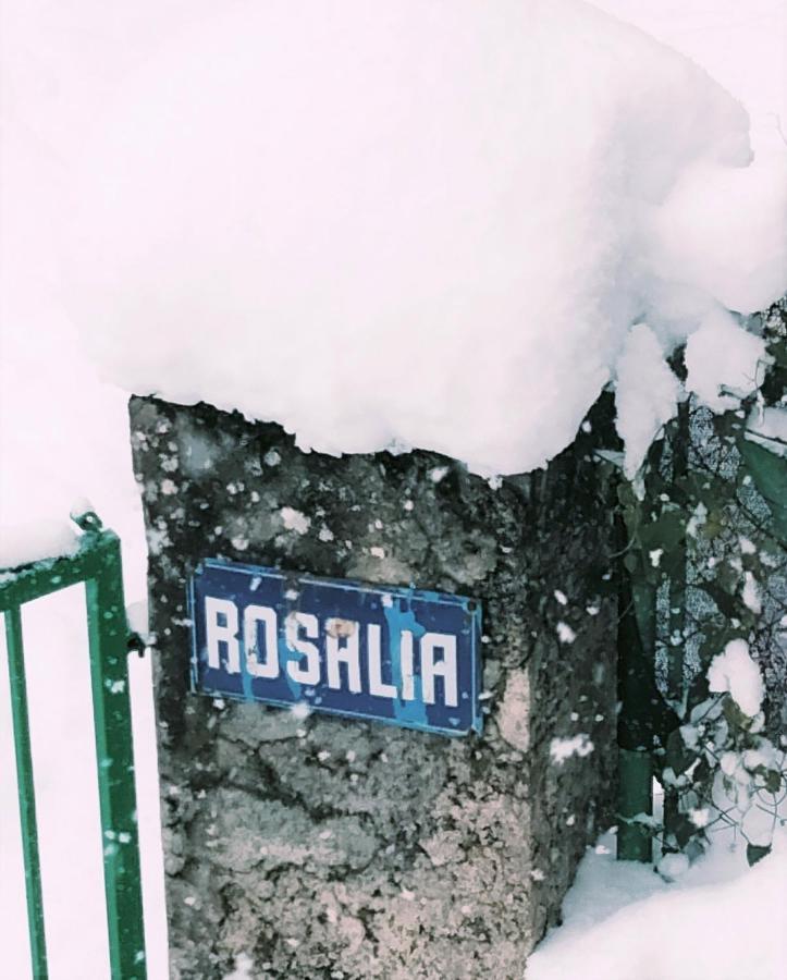 Villa Rosalia Villanua Luaran gambar